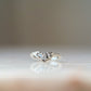 The Graces II // 14k Gold + Diamond // Nesting Ring