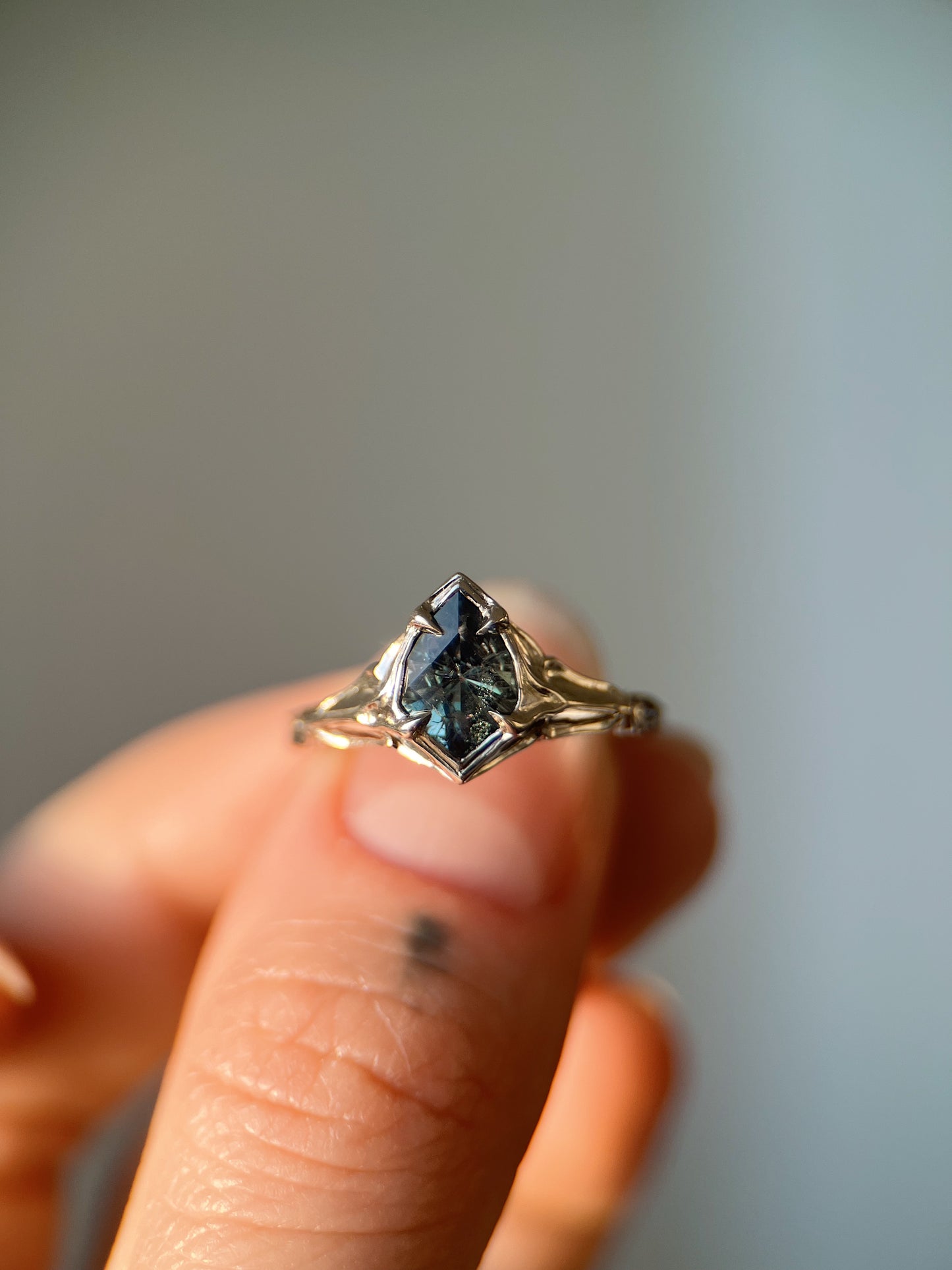 Fortress II // One Of A Kind // 14kw // Sapphire