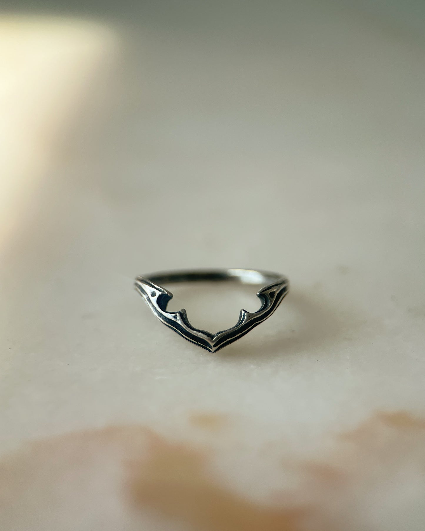 Ecclesia Shadow // Ring (RTS)