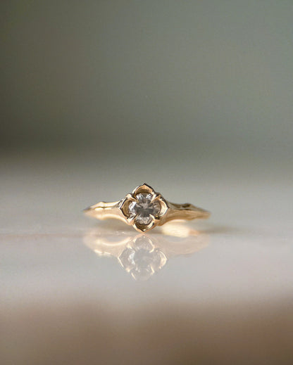 Baby Daphne // 14k Gold // Ring (RTS)