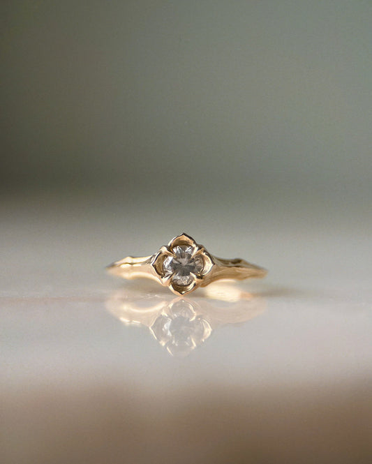 Baby Daphne // 14k Gold // Ring
