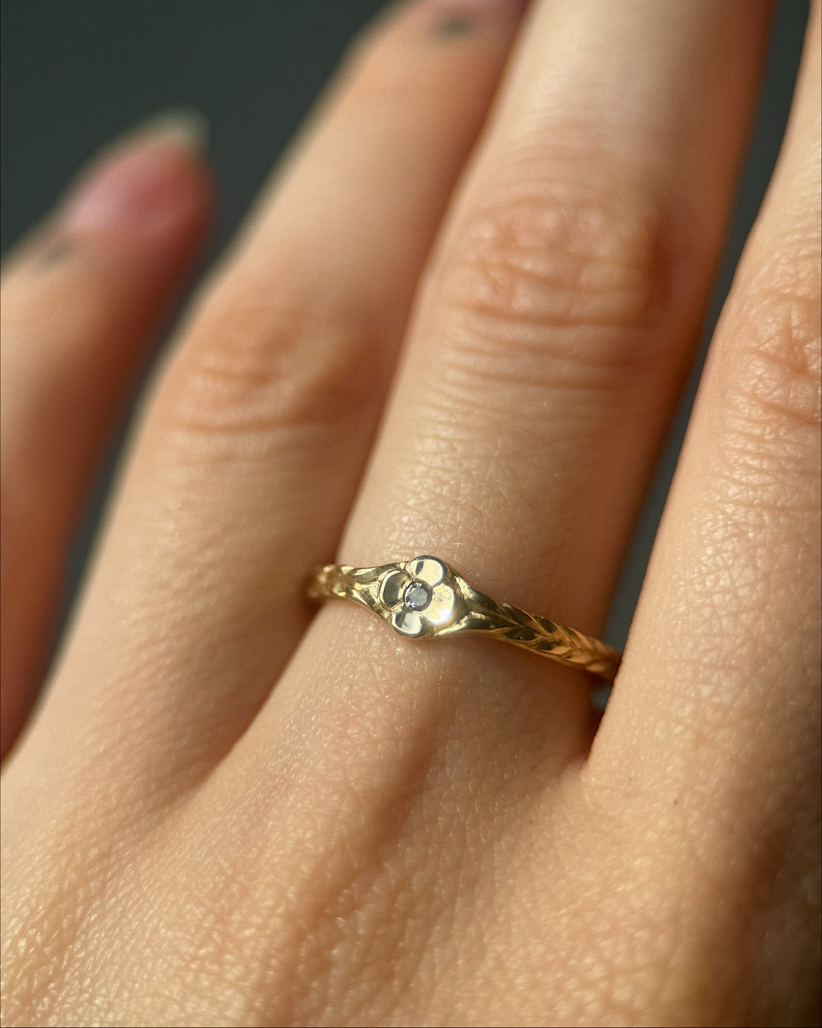 Posy // 14ky Gold + Salt & Pepper Diamond // 6