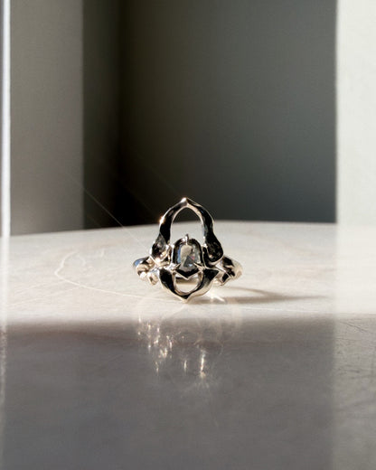 Scarab // One Of A Kind Ring // 14kw // 0.67ct Diamond