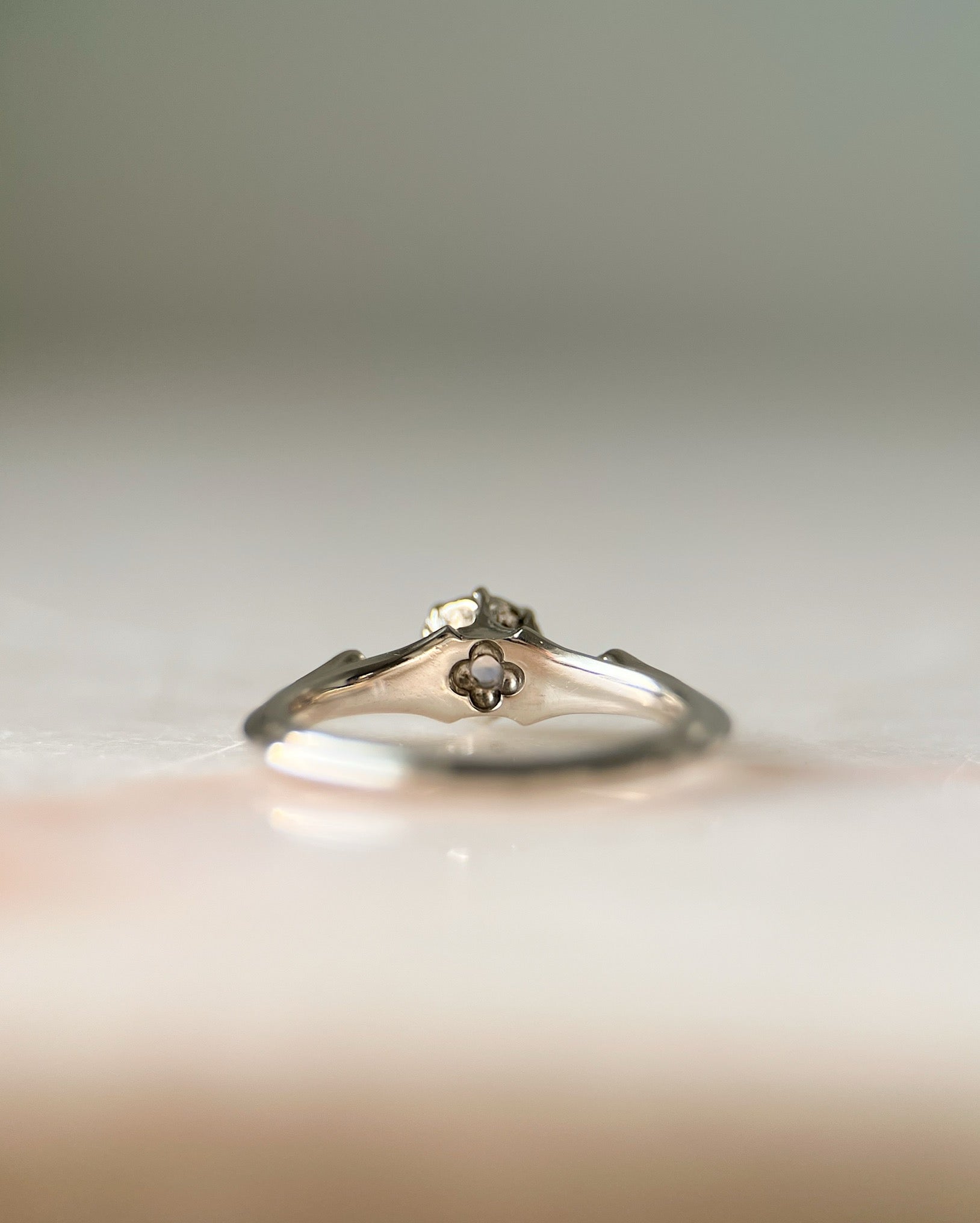 Rose Water // 14kw + 0.48ct Sapphire