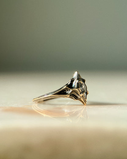 Omne // 14k Gold // Ring (RTS)