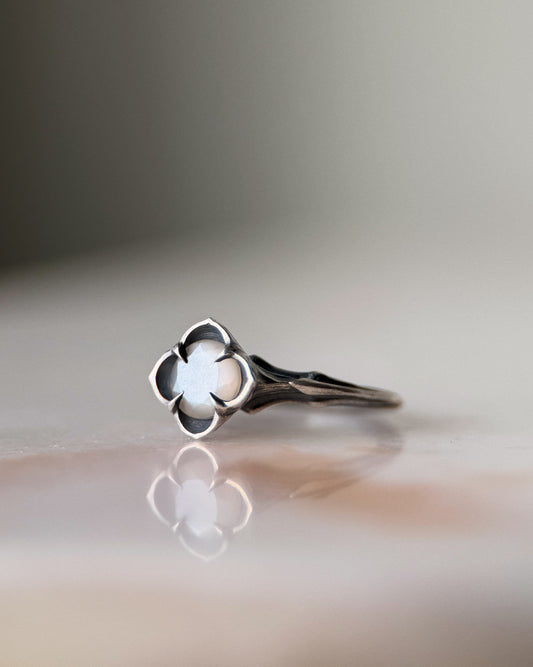 Baby Daphne // 6.5mm Grey Moonstone // Ring (RTS)