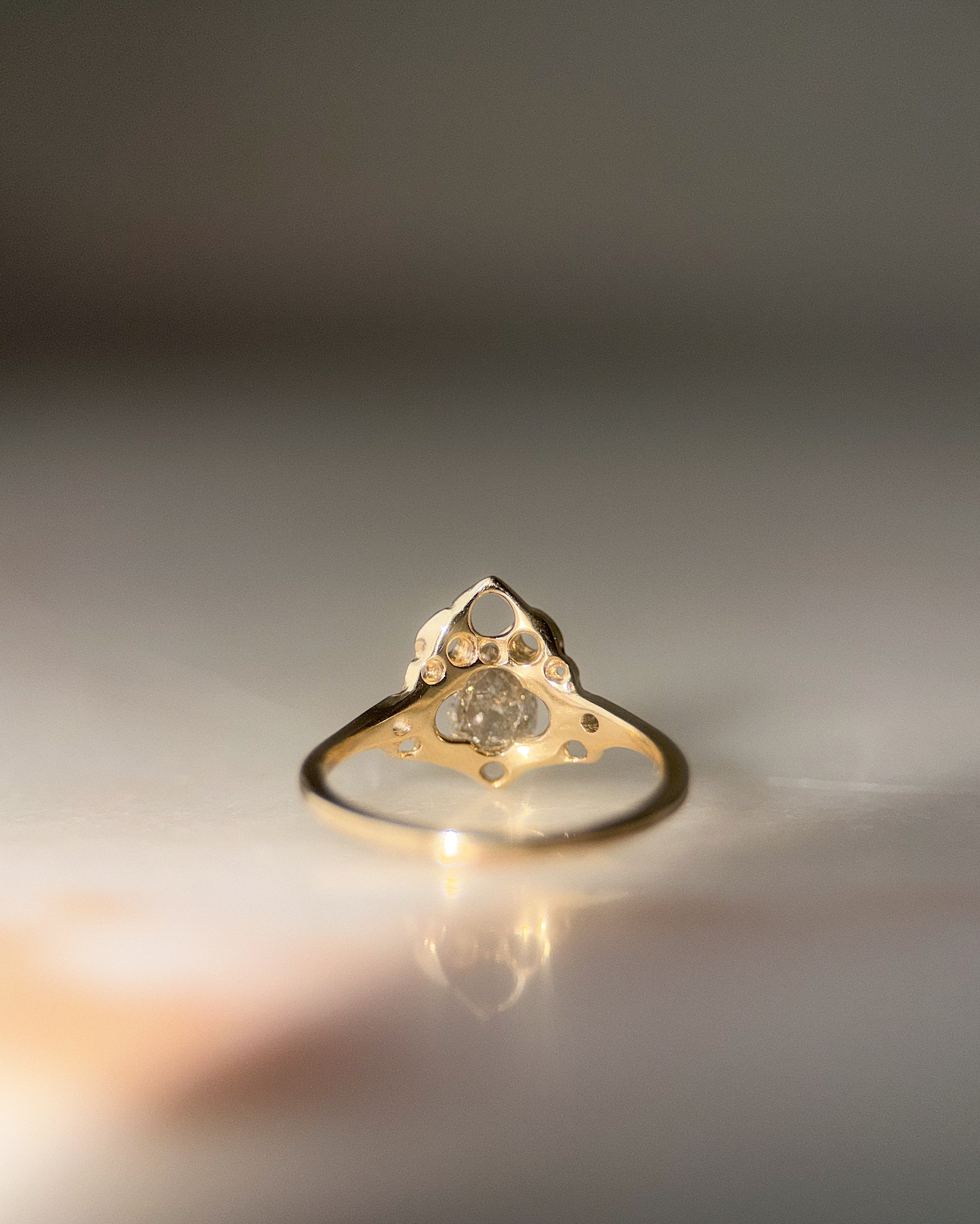 Thrones // 14ky Gold + 0.84ct Salt & Pepper Diamond // 6.75