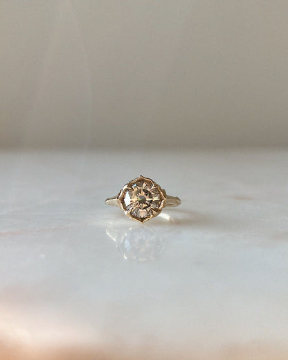 Daphne // 14k Gold // Ring