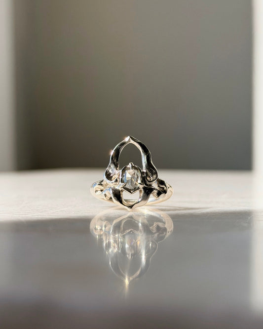 Scarab // One Of A Kind Ring // 14kw // 0.67ct Diamond