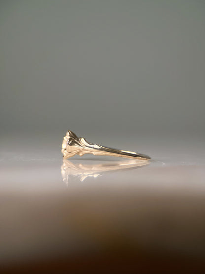 Baby Daphne // 14k Gold // Ring (RTS)