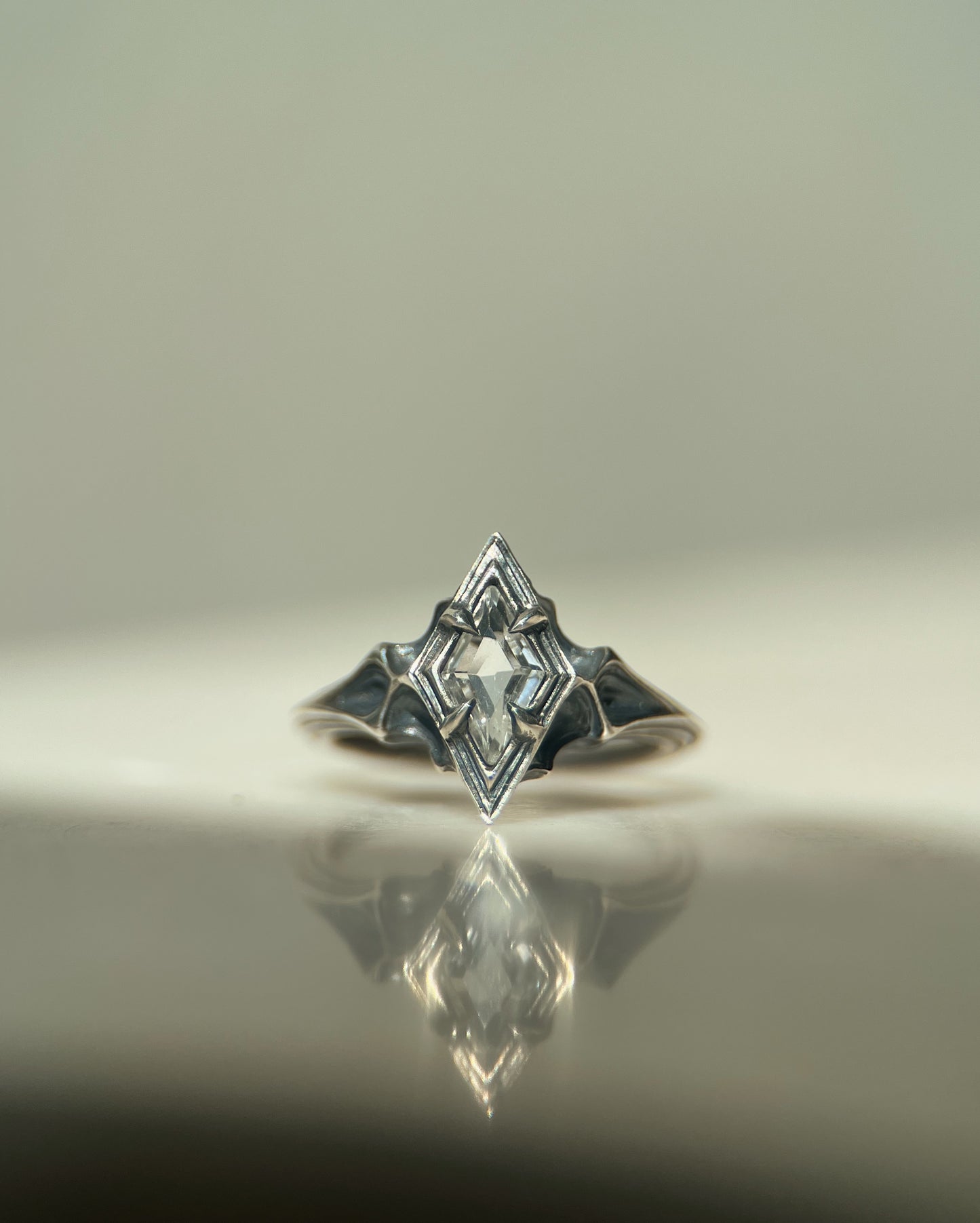 Omne // Ring