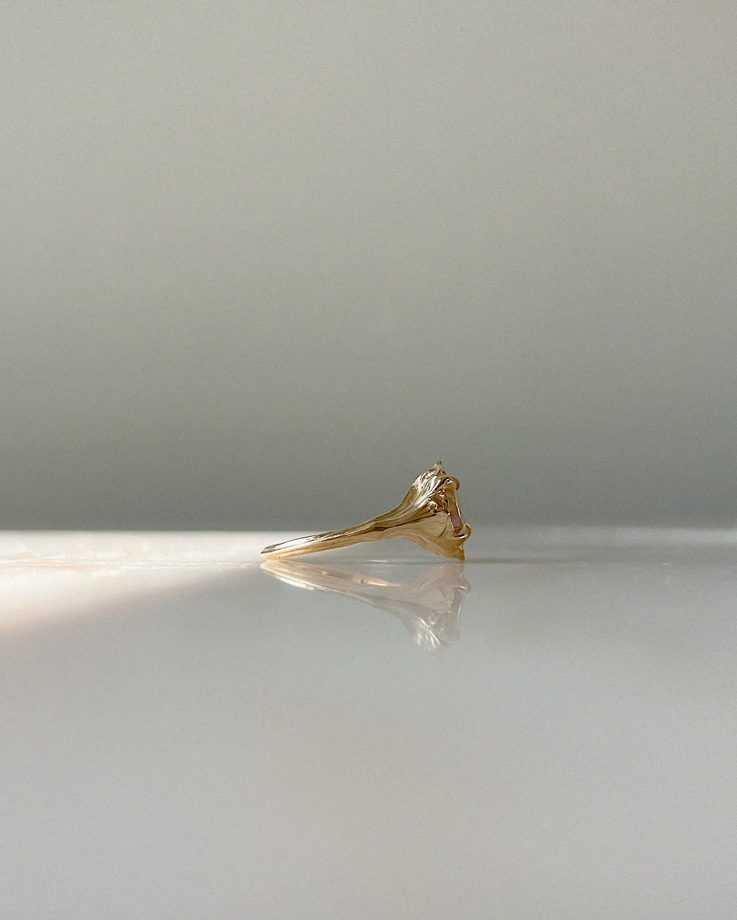 Daphne // 14k Gold // Ring