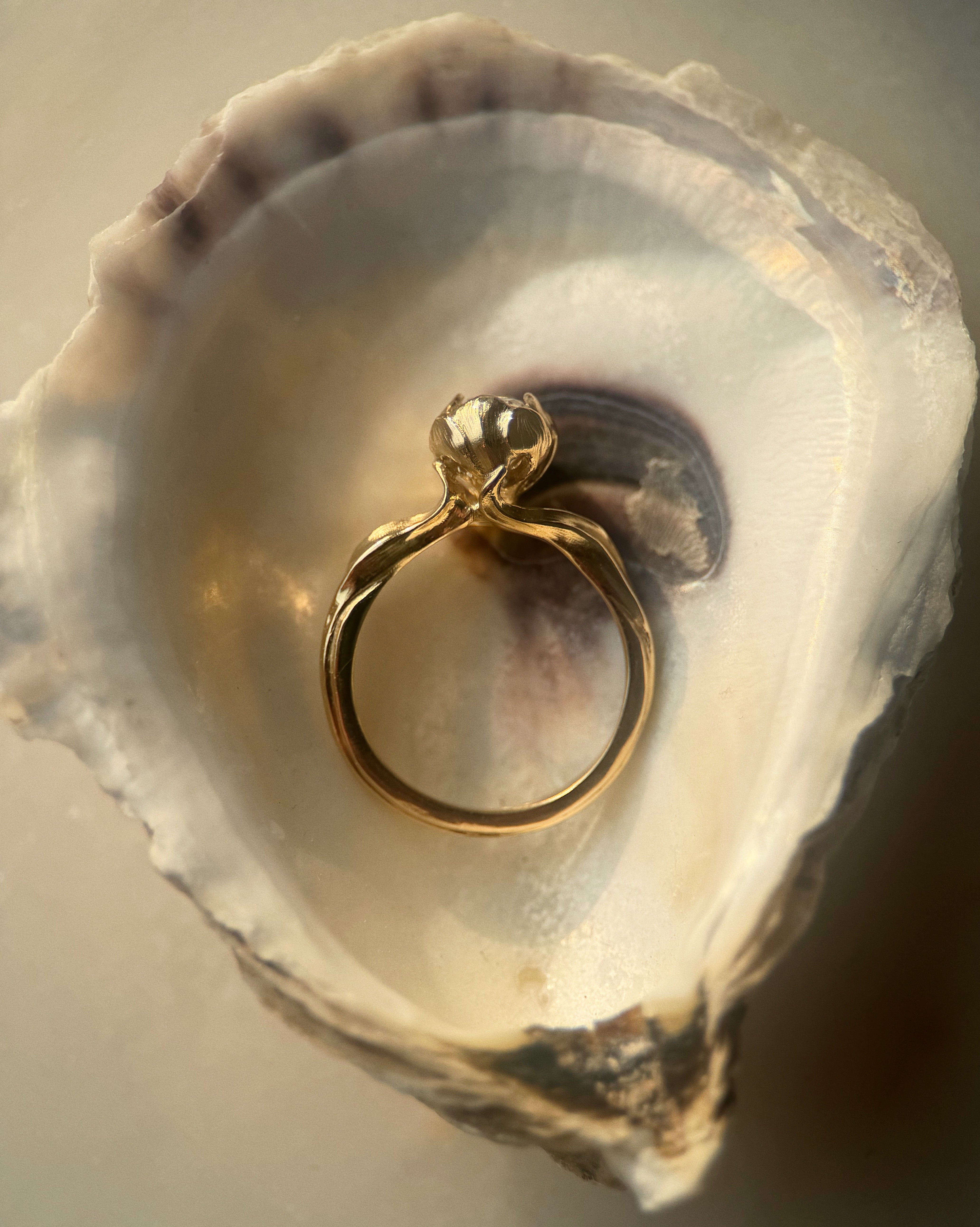 Natasha Pt I // 14ky Gold + Champagne Diamond // 5.75