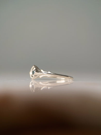 Baby Daphne // 14k Gold // Ring (RTS)