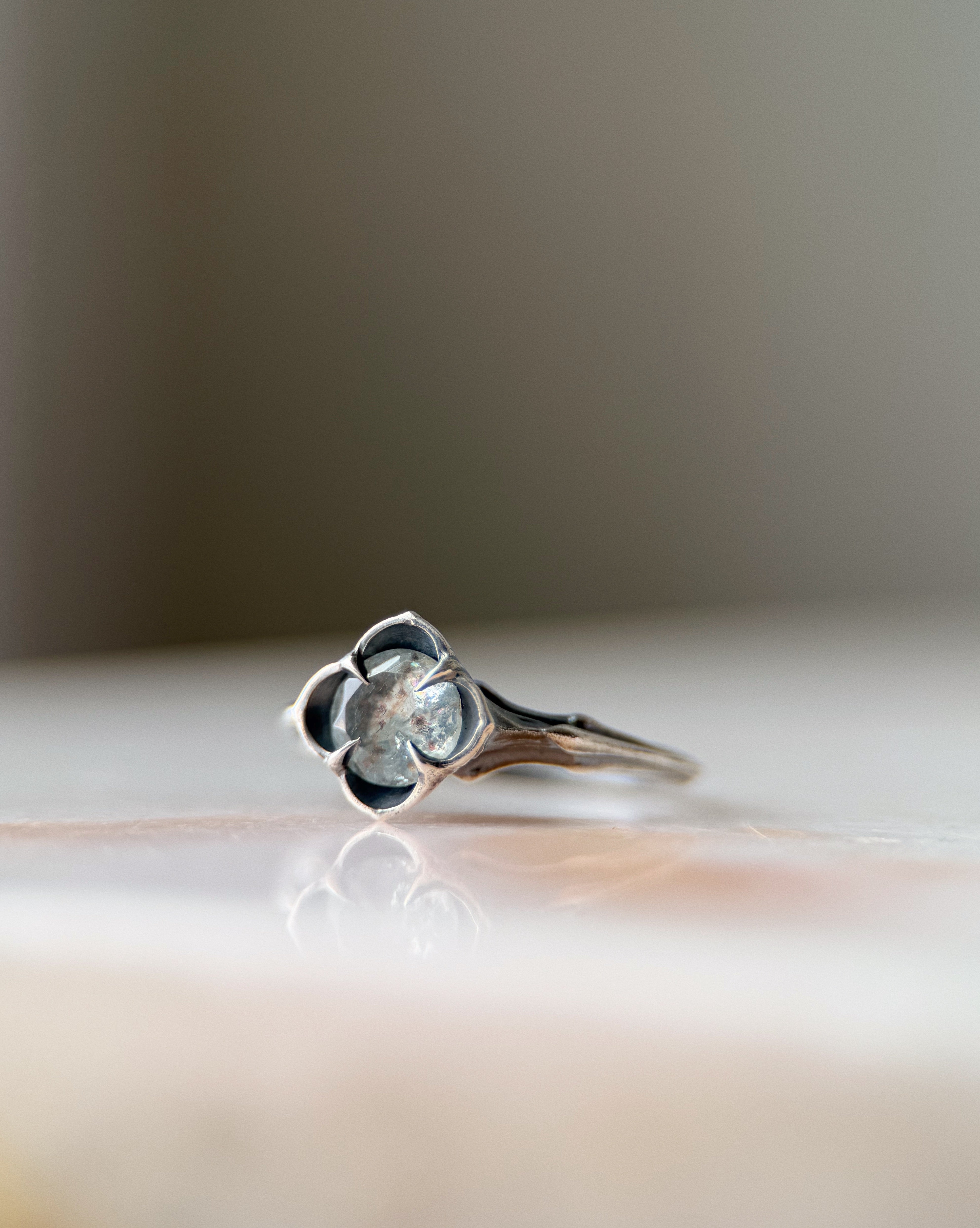 Baby Daphne // 6.5mm