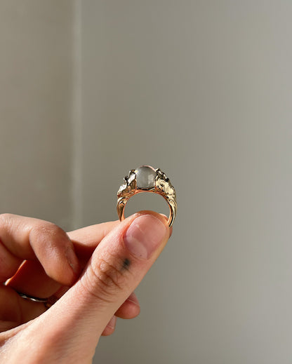 Divers // 14k Gold // Ring (RTS)