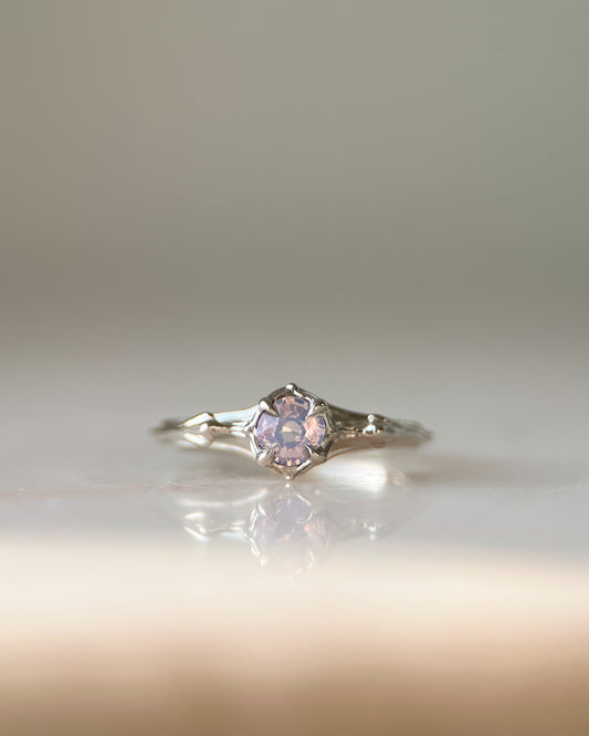 Rose Water // One Of A Kind // 14kw // 0.48ct Sapphire