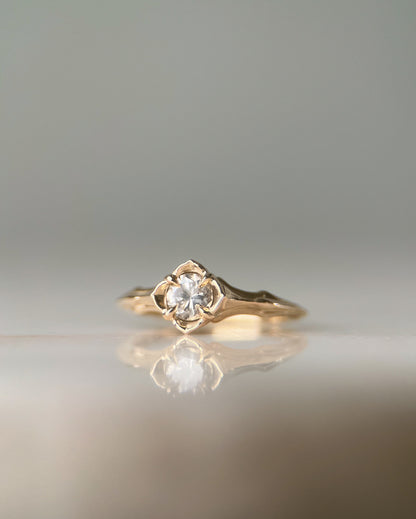 Baby Daphne // 14k Gold // Ring (RTS)