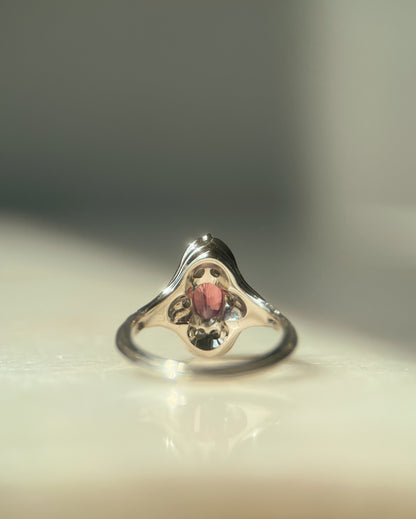Custom Navis Listing for CW