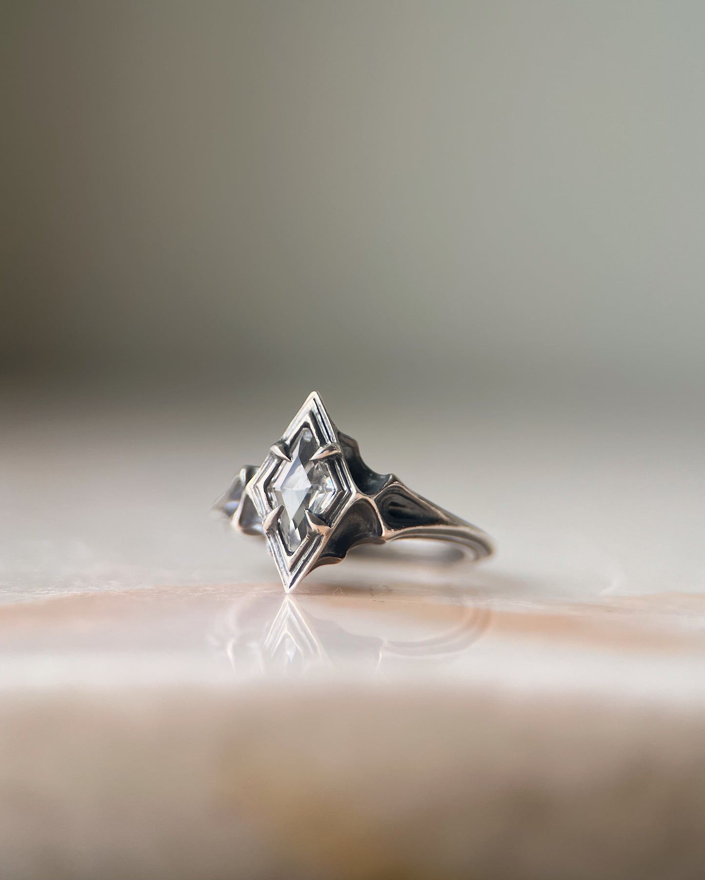 Omne // Ring