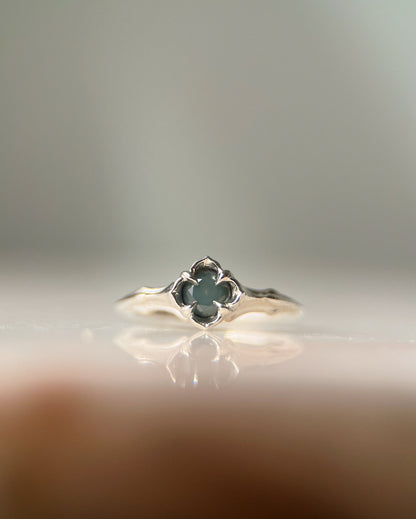 Baby Daphne // 14k Gold // Ring (RTS)