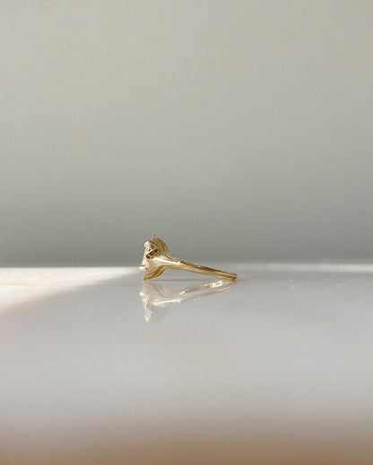 Daphne // 14k Gold // Ring