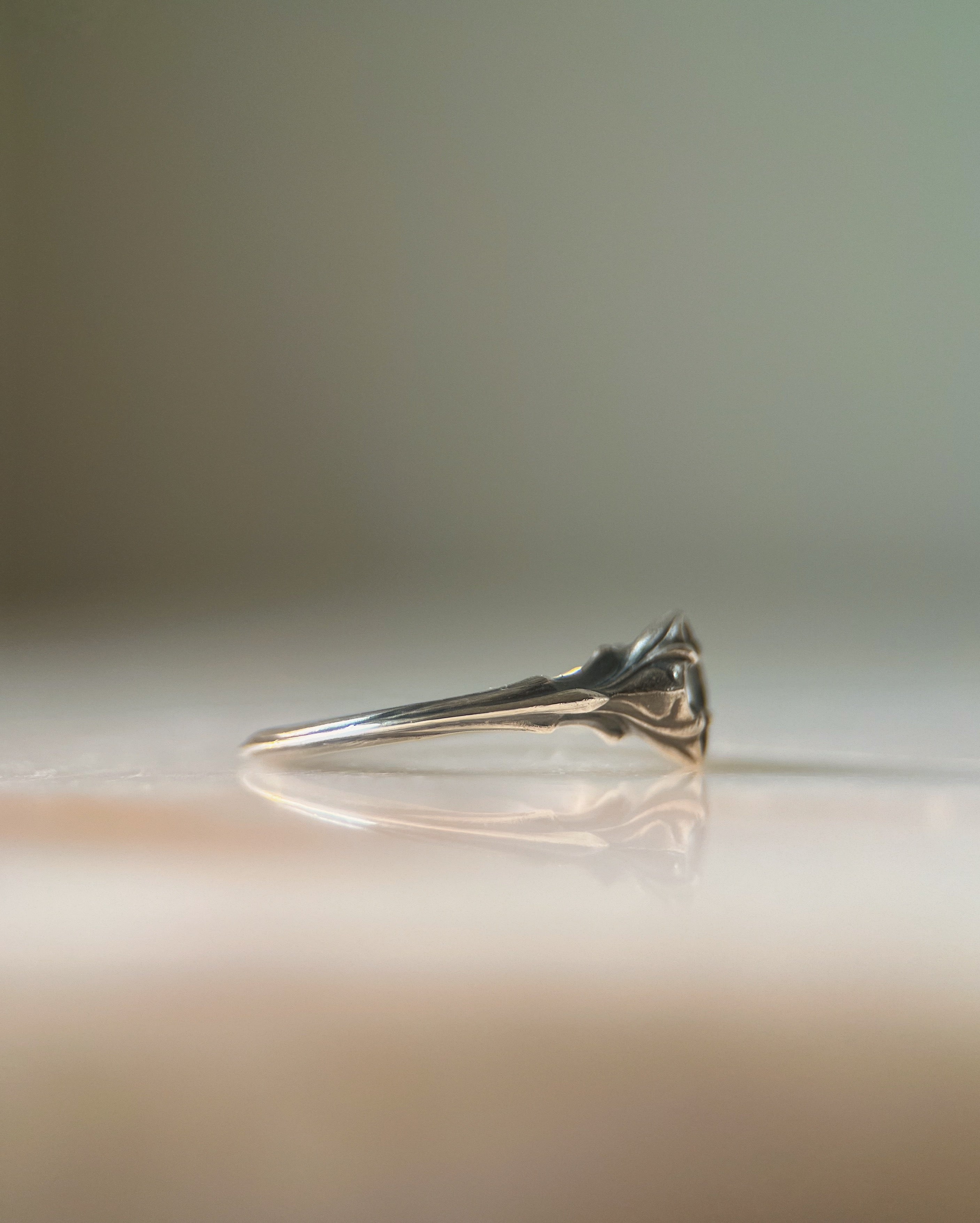 Baby Daphne // 5mm Salt & Pepper Diamond // 8