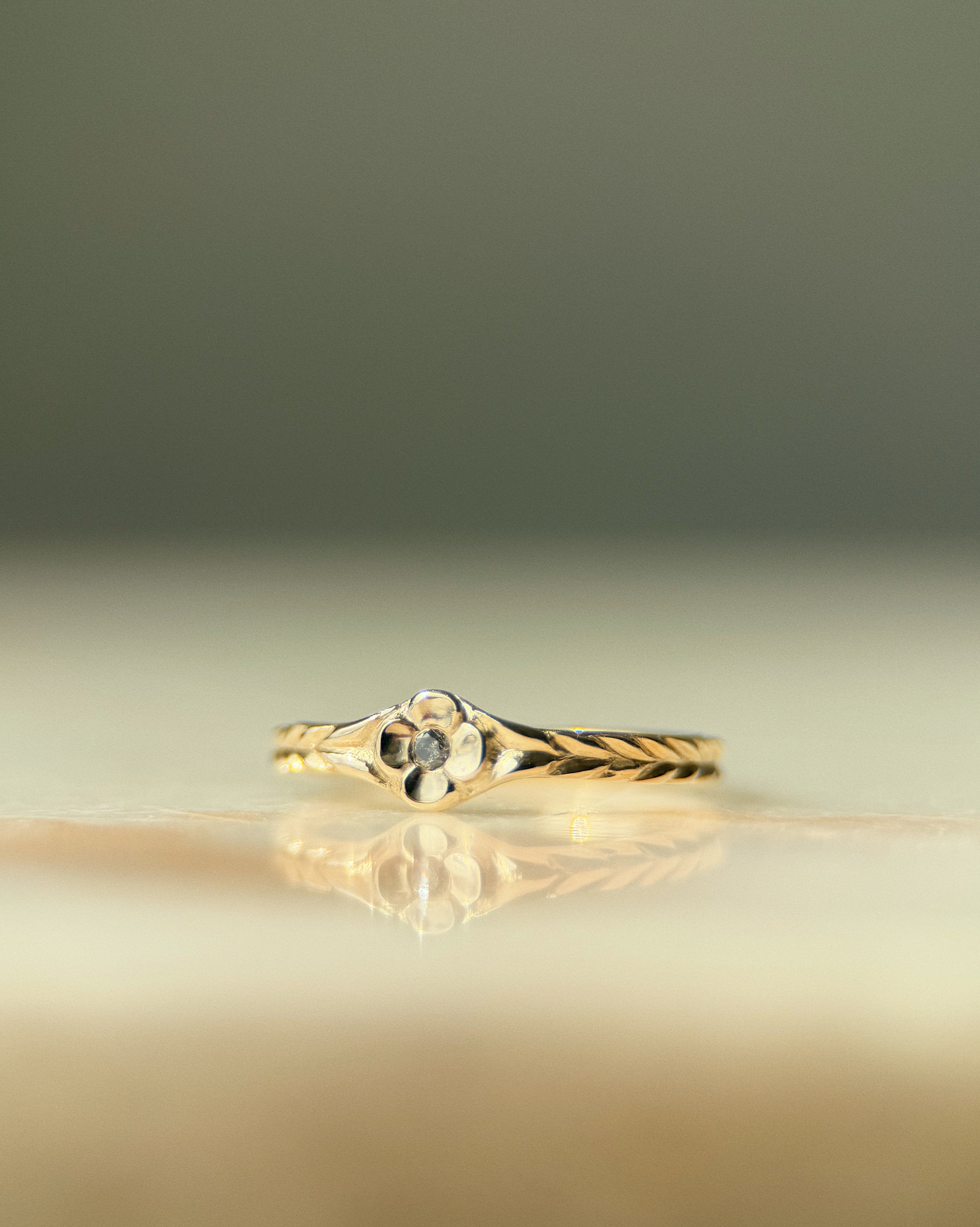 Posy // 14ky Gold + Salt & Pepper Diamond // 6