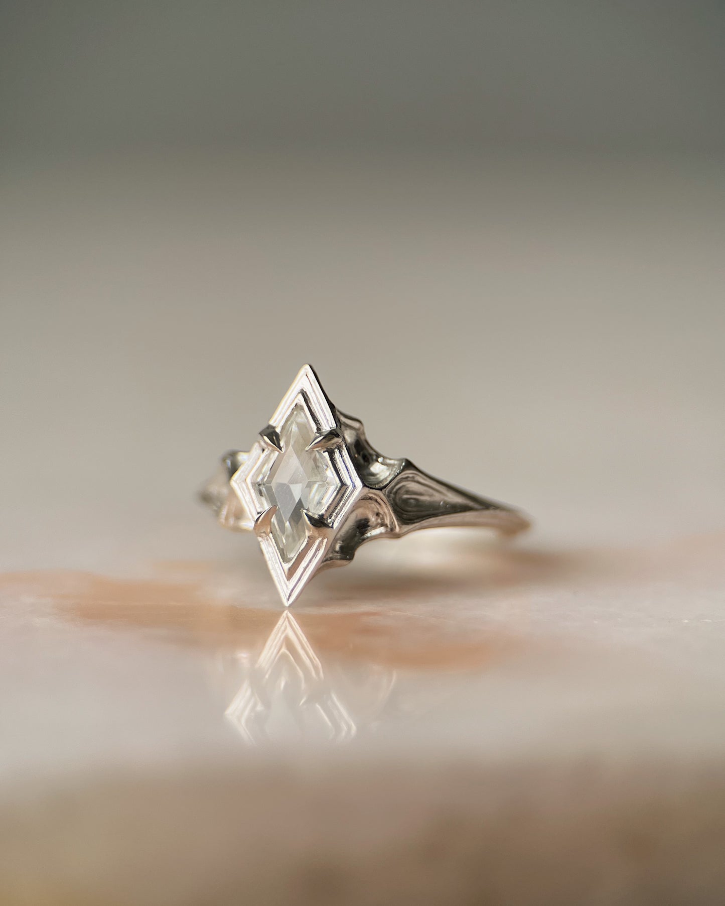 Omne // Ring