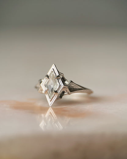 Omne // Ring