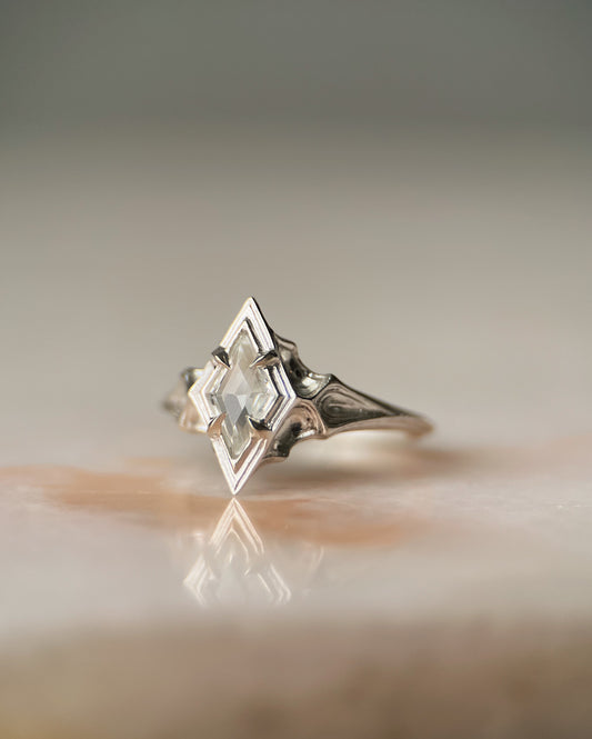 Omne // Ring