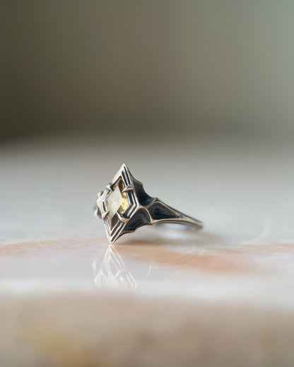 Omne // Ring