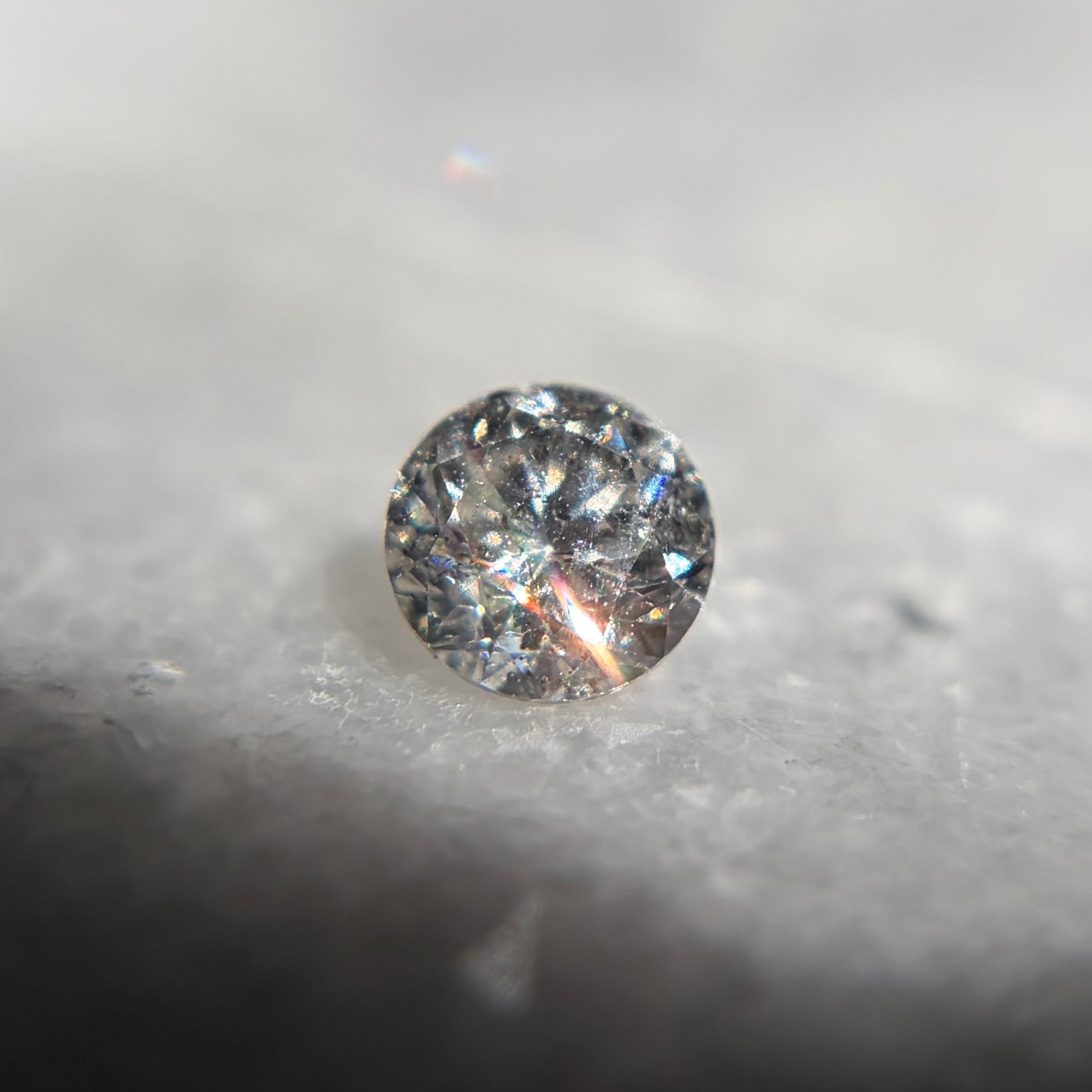 Baby Daphne // 6.5mm // Gold
