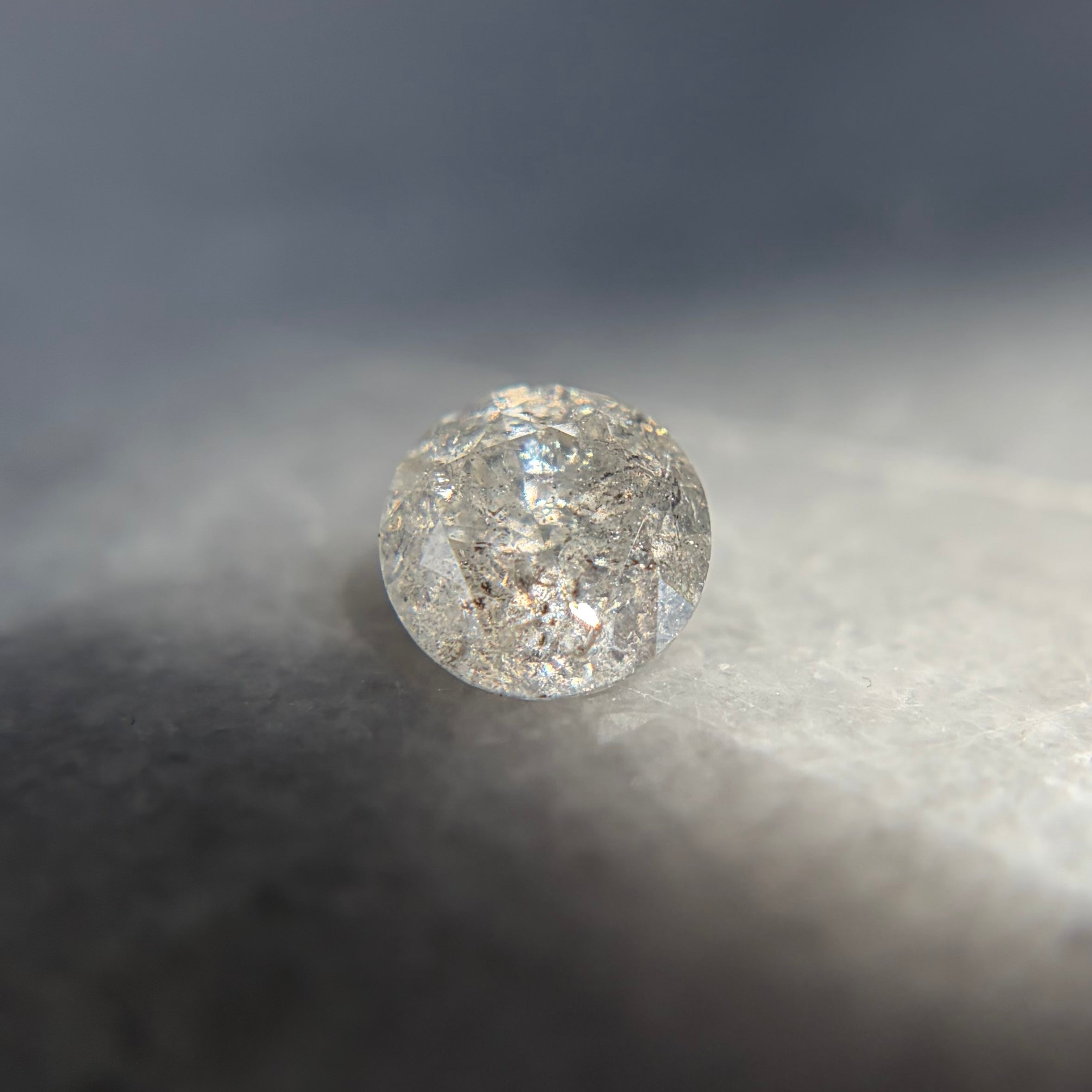 Baby Daphne // 6.5mm // Gold