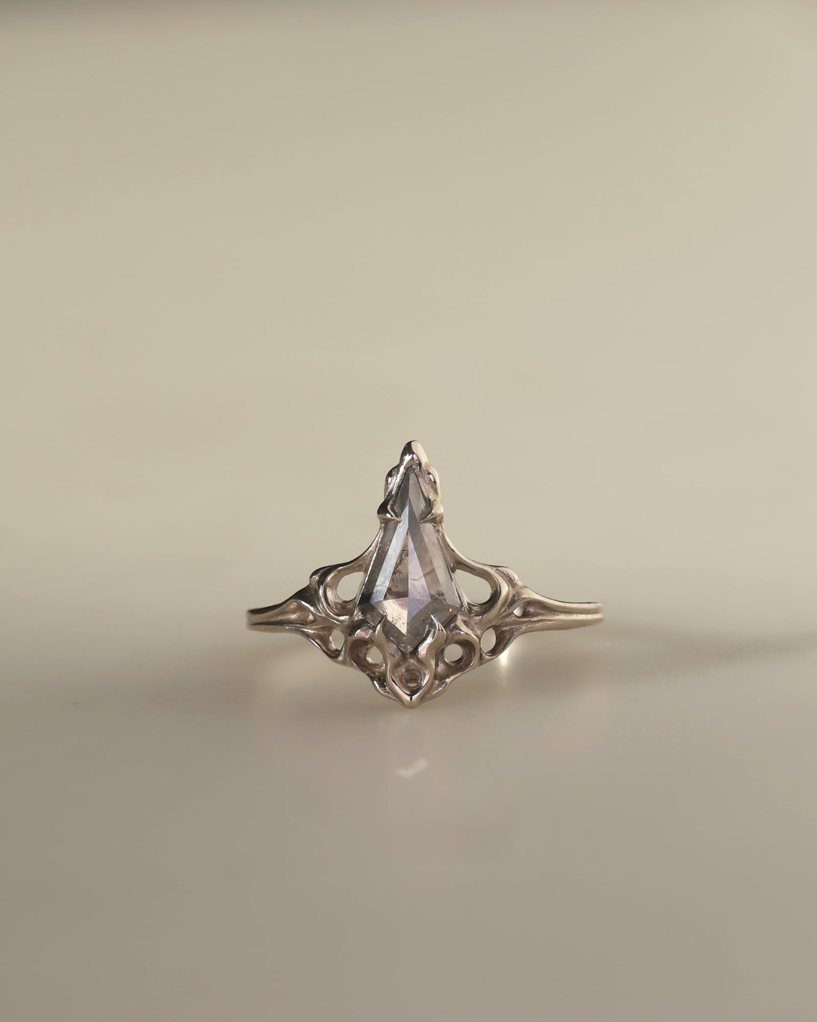 Archangel // 14kw Gold + 0.71ct Salt & Pepper Diamond // 6.75