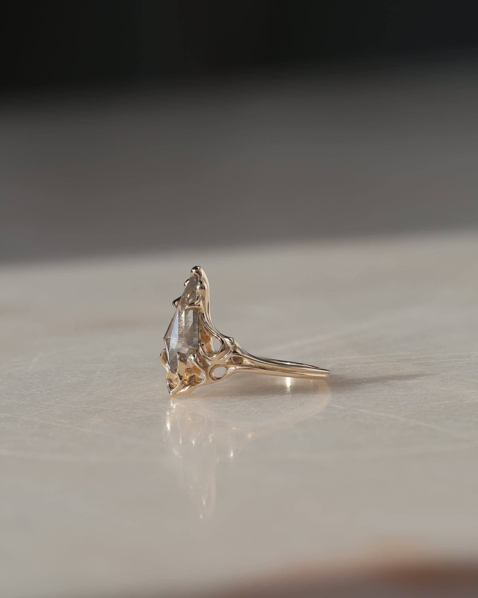 Archangel // 14ky Gold + Salt & Pepper Diamond // 5