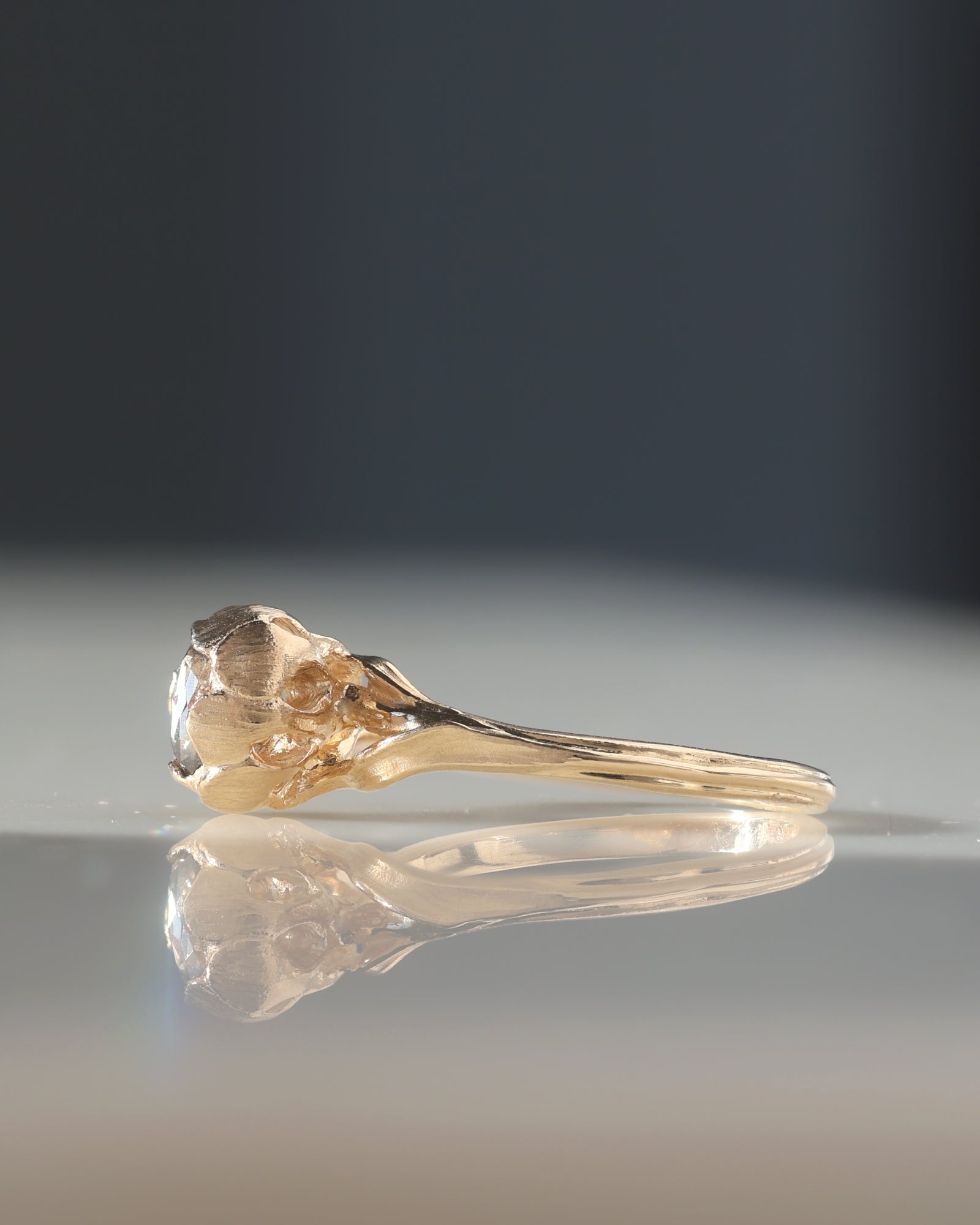 Natasha Pt I // 14ky Gold + Salt & Pepper Diamond // 8