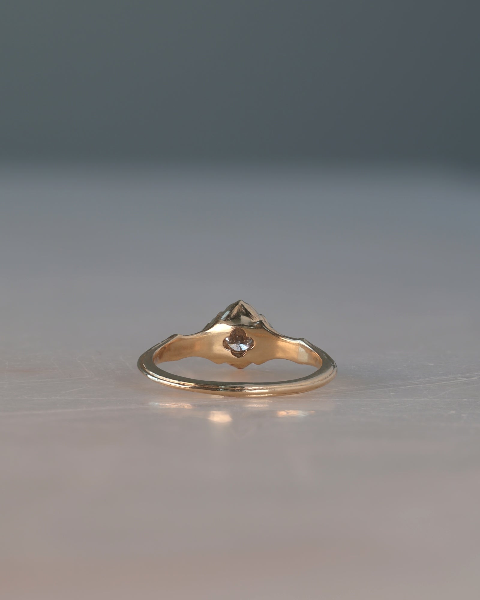 Daphne // 14ky Gold + 5mm Salt & Pepper Diamond // 8