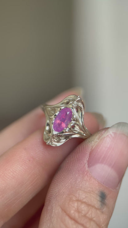 Custom Navis Listing for CW