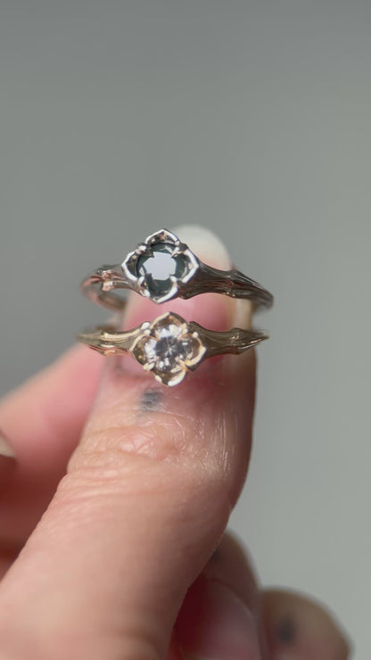 Baby Daphne // 14k Gold // Ring (RTS)