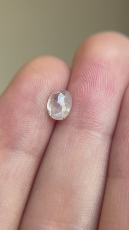 Alcove // 14k Gold // Ring