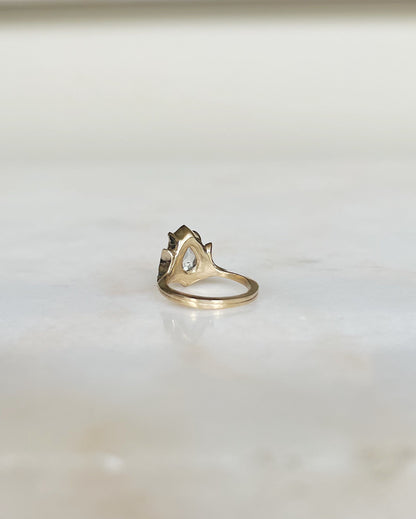 Eden II // 14k Gold // Ring