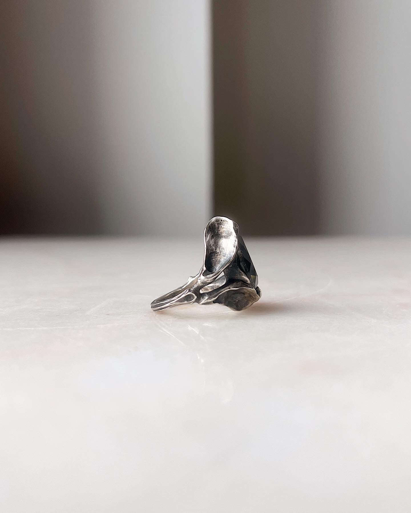 The Snake Swallows The Sea // Silver + Moss Aquamarine